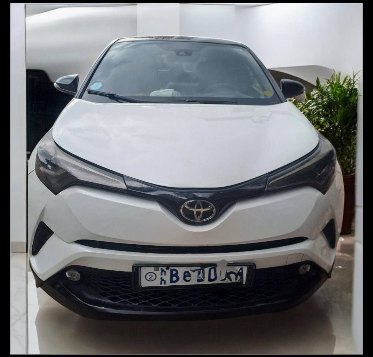 Toyota C-HR (AX50)