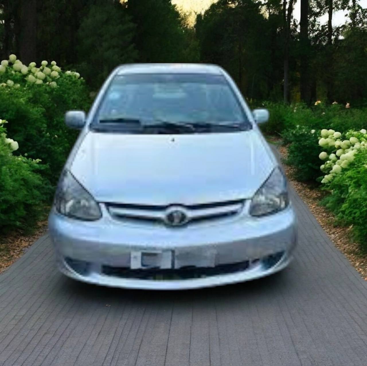 Toyota Platz (