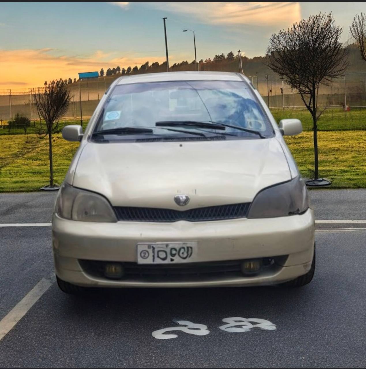 Toyota Platz