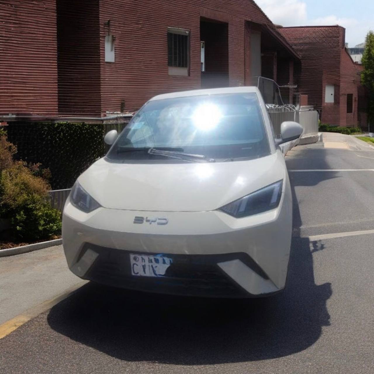 Seagull Electric City Car