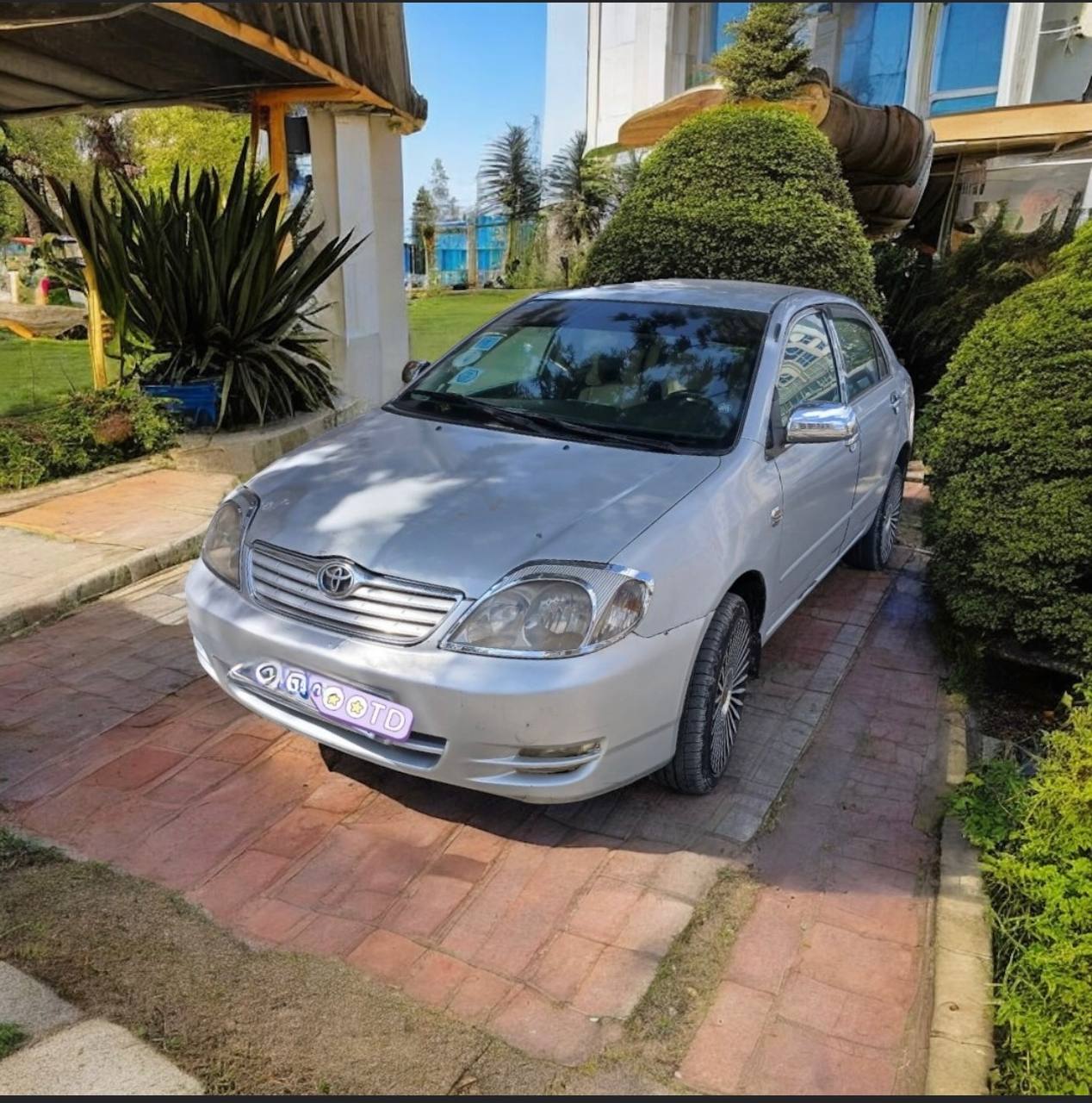 Toyota Corolla XL Sedan