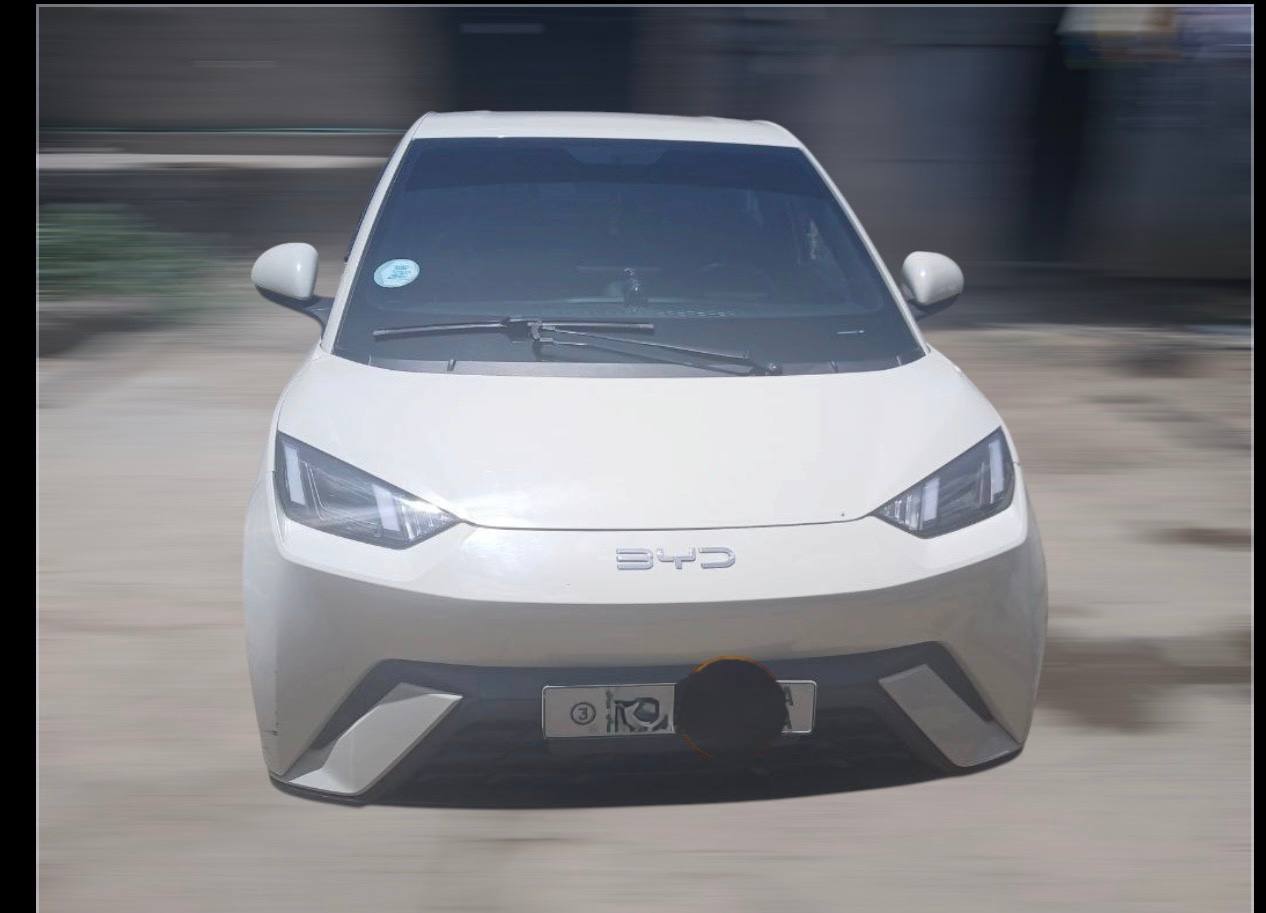 BYD SEAGULL