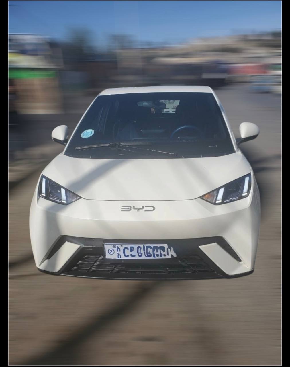 BYD Seagull