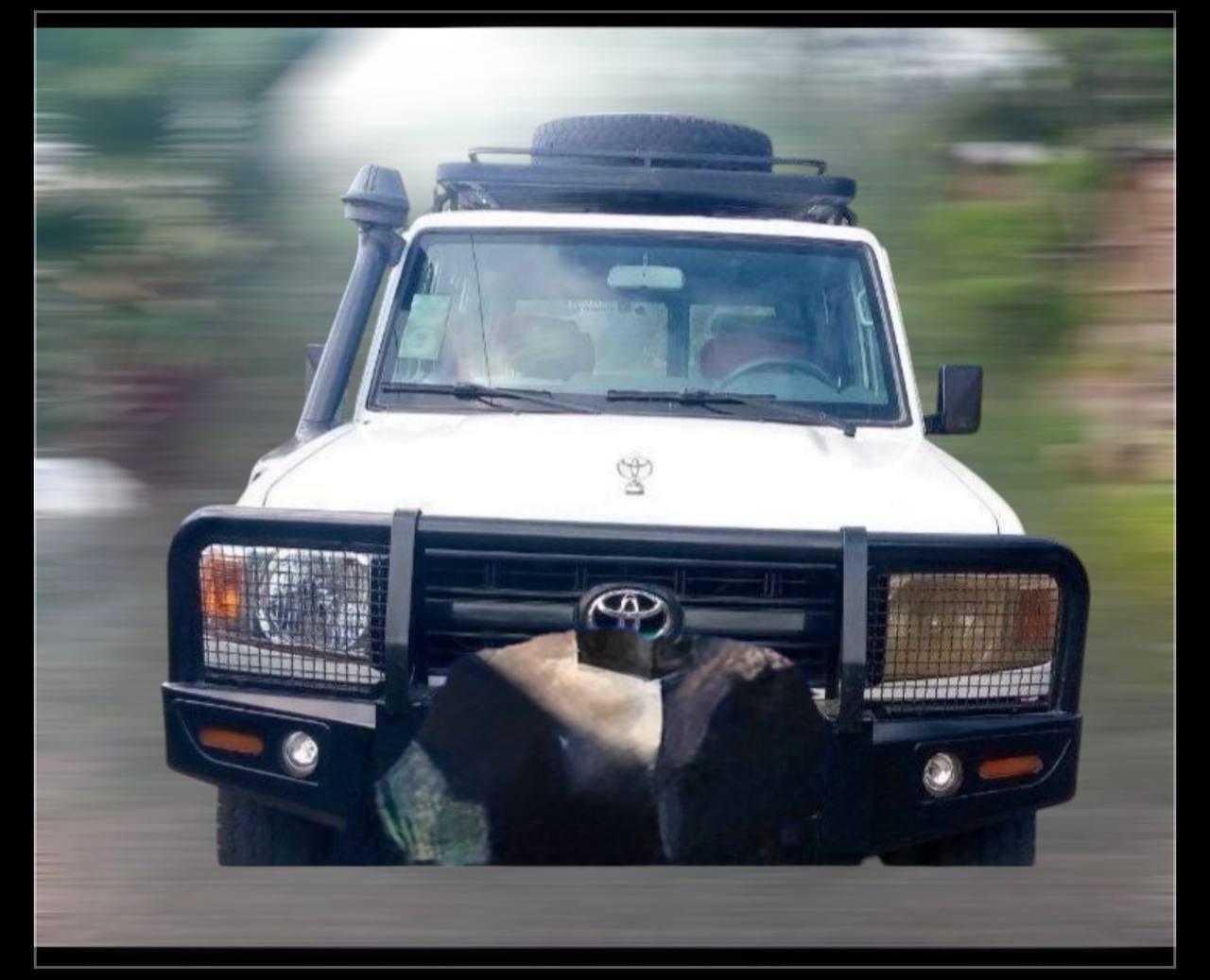 Toyota Land Cruiser Wagon