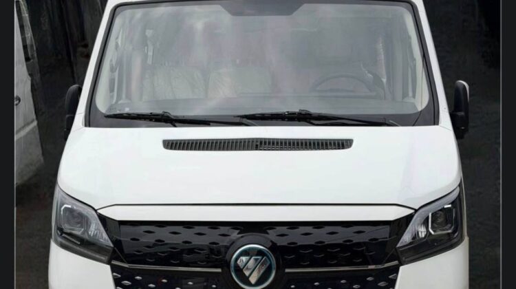 2026 FOTON eTOANO PRO EV