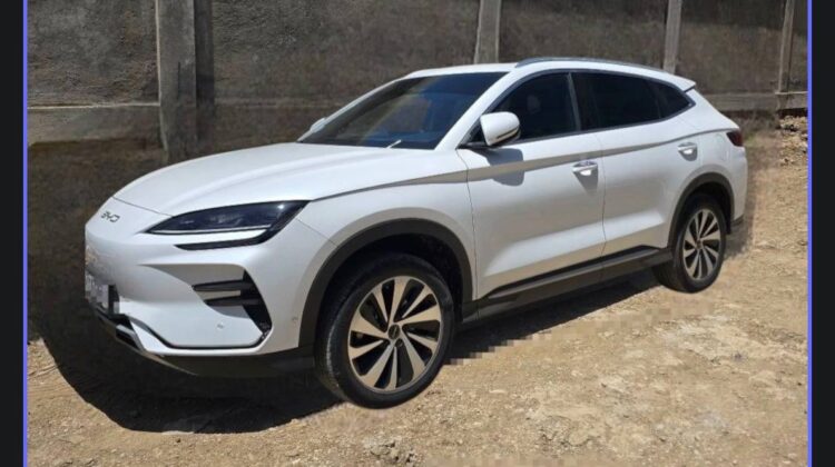 2024 BYD Song Plus Smart EV (Bank)
