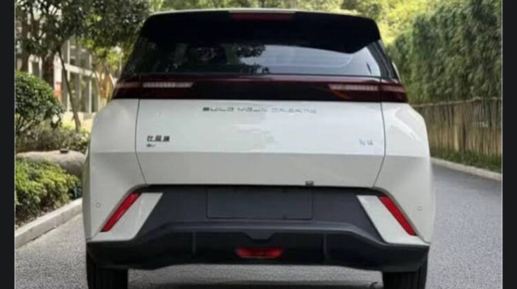 2025 BYD SEAGULL (DOLPHIN MINI)