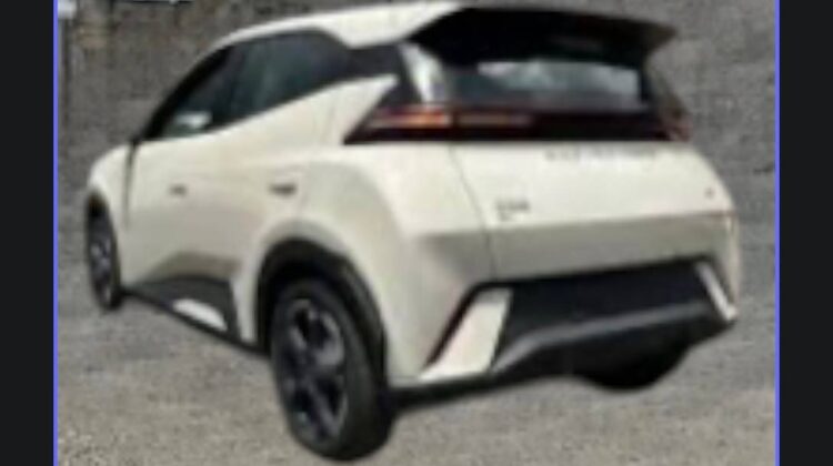 2025 BYD SEAGULL (DOLPHIN MINI)