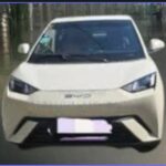 2025 BYD SEAGULL (DOLPHIN MINI)