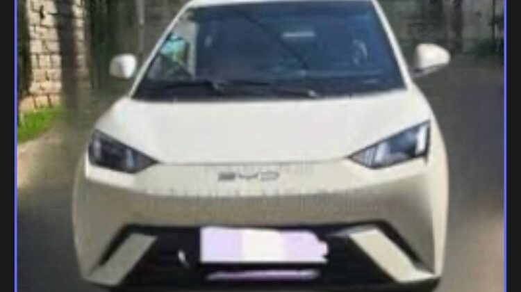 2025 BYD SEAGULL (DOLPHIN MINI)