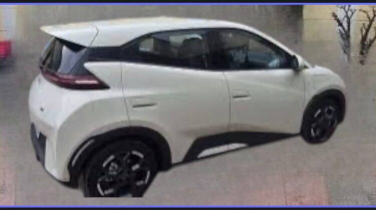 2025 BYD SEAGULL (DOLPHIN MINI)