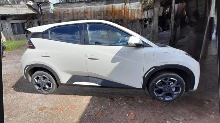 2025 BYD Seagull (Dolphin Mini)