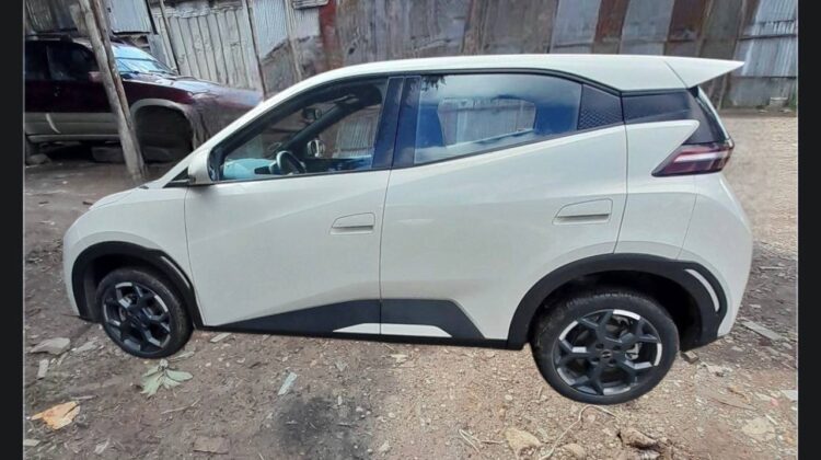 2025 BYD Seagull (Dolphin Mini)