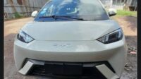 2025 BYD Seagull (Dolphin Mini)
