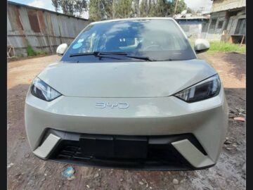 2025 BYD Seagull (Dolphin Mini)
