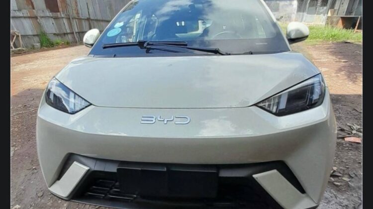2025 BYD Seagull (Dolphin Mini)