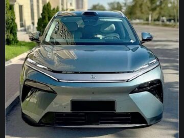 2025 BYD Tang (L)