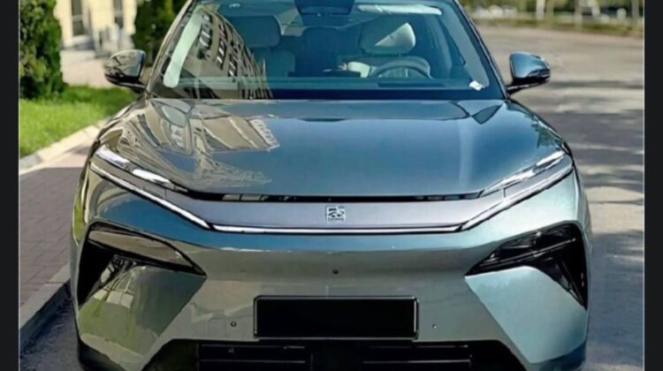 2025 BYD Tang (L)