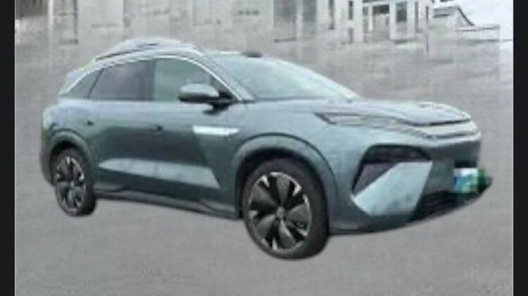 2025 BYD Tang (L)