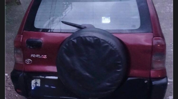 Toyota RAV4 (XA20) 2005