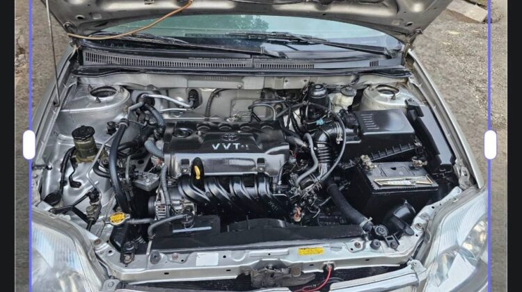 2004 Toyota Corolla X (E120 Series)