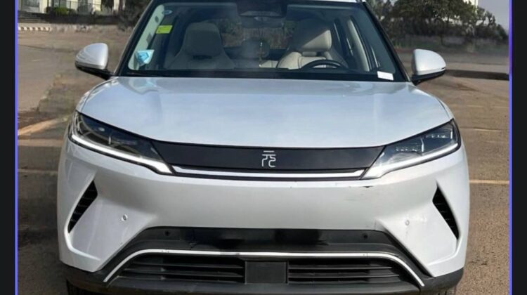 2025 BYD YUAN UP