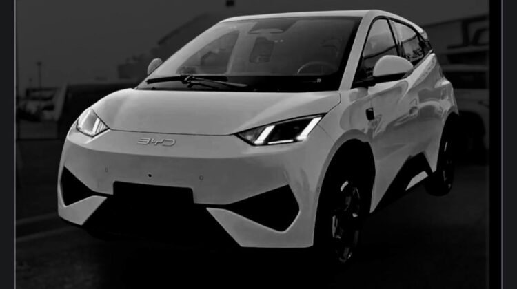 2025 BYD Seagull Dolphin Mini EV