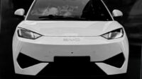 2025 BYD Seagull Dolphin Mini EV