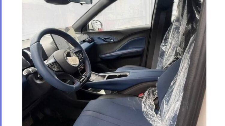 2025 BYD Seagull Dolphin Mini EV