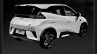 2025 BYD Seagull Dolphin Mini EV