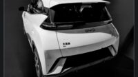 2025 BYD Seagull Dolphin Mini EV
