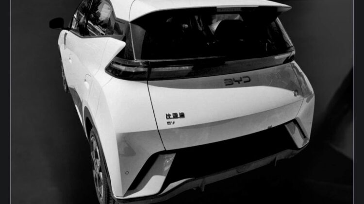 2025 BYD Seagull Dolphin Mini EV