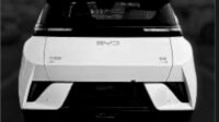 2025 BYD Seagull Dolphin Mini EV