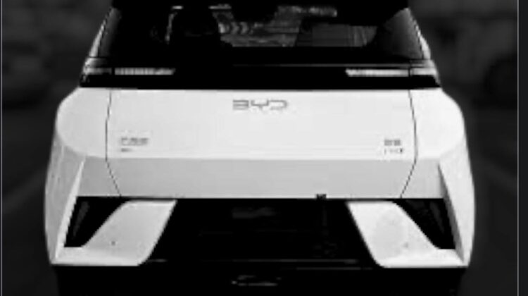 2025 BYD Seagull Dolphin Mini EV
