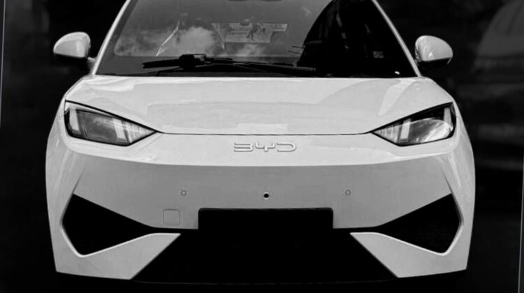 2025 BYD Seagull Dolphin Mini EV